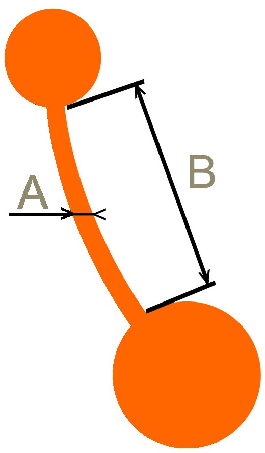 BNB-SIZE2.jpg